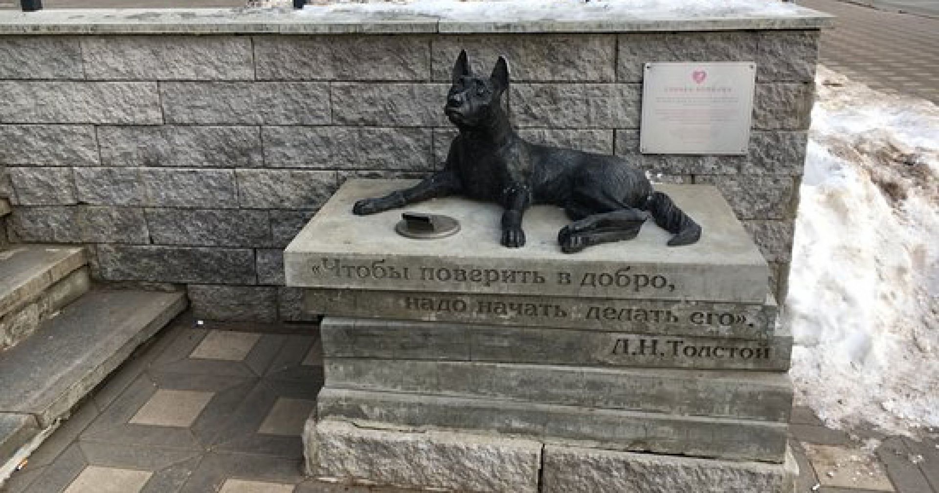 Памятник бездомной собаке Киров